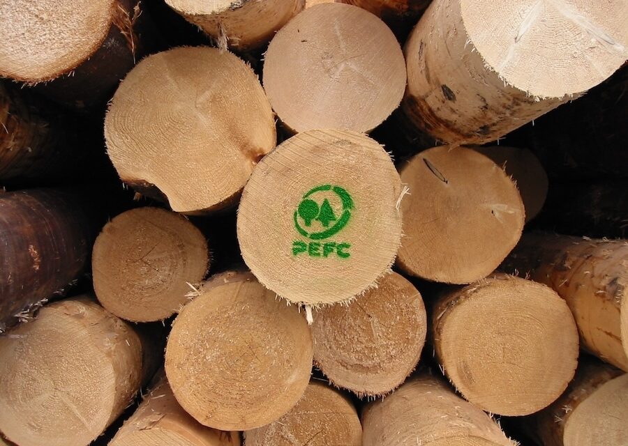 PEFC Italia: il Bilancio di Sostenibilità rivela record di foreste e aziende certificate