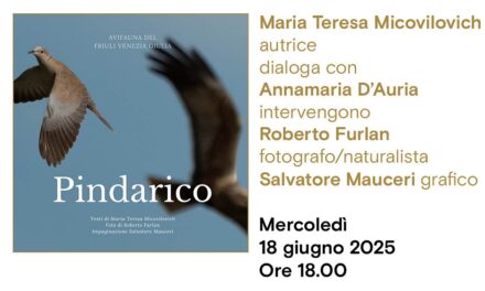 Maria Teresa Micovilovich presenta all’Antico caffè San Marco il suo progetto librario “Pindarico”