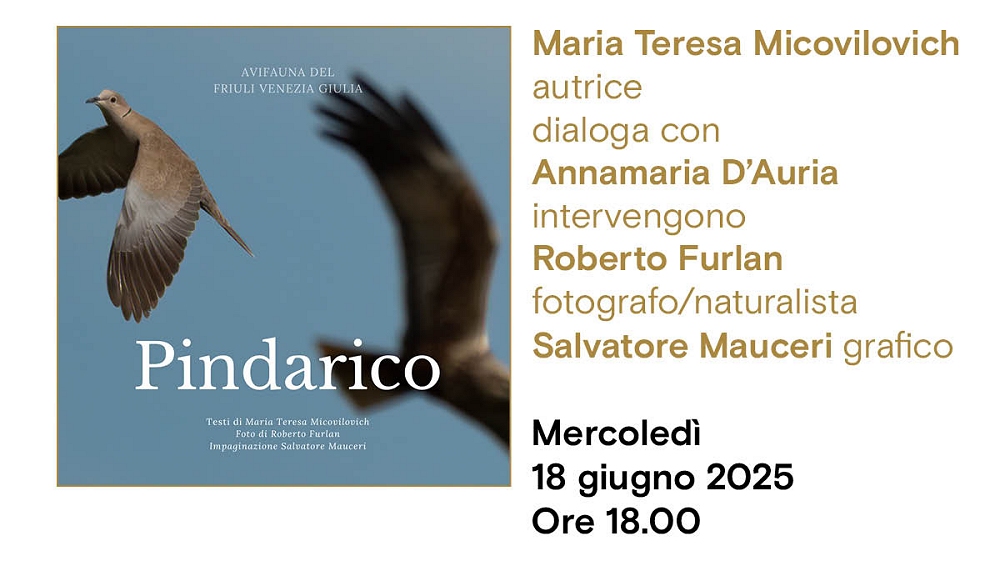 Maria Teresa Micovilovich presenta all’Antico caffè San Marco il suo progetto librario “Pindarico”