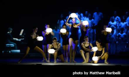 AL PICCOLO OPERA FESTIVAL LA PREMIÈRE DEL TOUR EUROPEO DELLO SPETTACOLO “SALT-ICE”, FANTASIOSA “ORIGAMI-OPERA” PER RAGAZZI