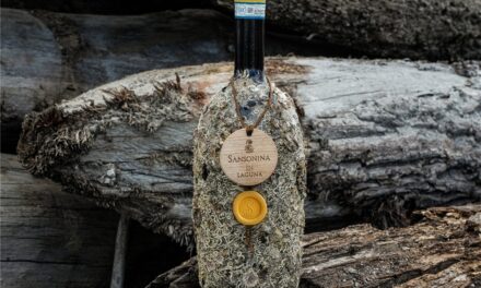 Sansonina in Laguna: il vino che nasce dalla Laguna di Venezia, in 100 magnum in edizione limitata