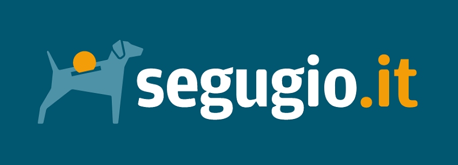 SEGUGIO.IT: 2024 DA RECORD PER LE MOTO IN ITALIA, IN FRIULI VENEZIA GIULIA CRESCE IL PREMIO RC