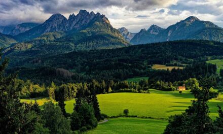 L’estate a Tarvisio: natura, gioco e meraviglia per adulti e bambini