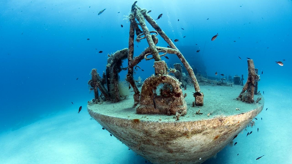 MyShot 2025: la fotografia subacquea che racconta il mare e il suo destino