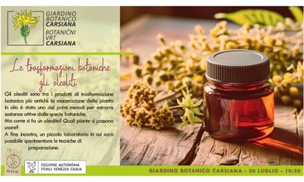 Le trasformazioni botaniche: gli oleoliti al Giardino botanico Carsiana