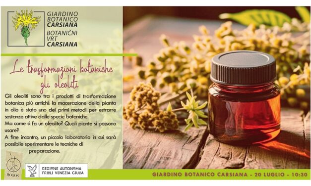 Le trasformazioni botaniche: gli oleoliti al Giardino botanico Carsiana