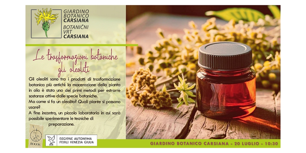 Le trasformazioni botaniche: gli oleoliti al Giardino botanico Carsiana