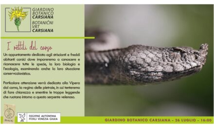 I rettili del Carso al Giardino botanico Carsiana