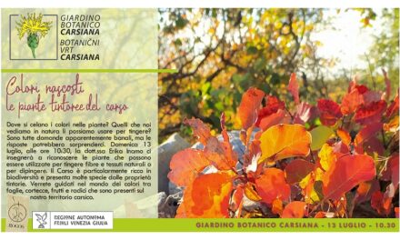 Colori nascosti, le piante tintorie del Carso al Giardino botanico Carsiana