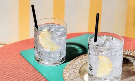 LA “GIN MANIA” TRAINA I DISTILLATI, A PADOVA IL CORSO PER OTTENERE LA CERTIFICAZIONE DI “DISTILLATORE”