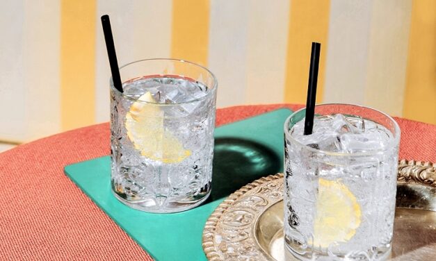 LA “GIN MANIA” TRAINA I DISTILLATI, A PADOVA IL CORSO PER OTTENERE LA CERTIFICAZIONE DI “DISTILLATORE”