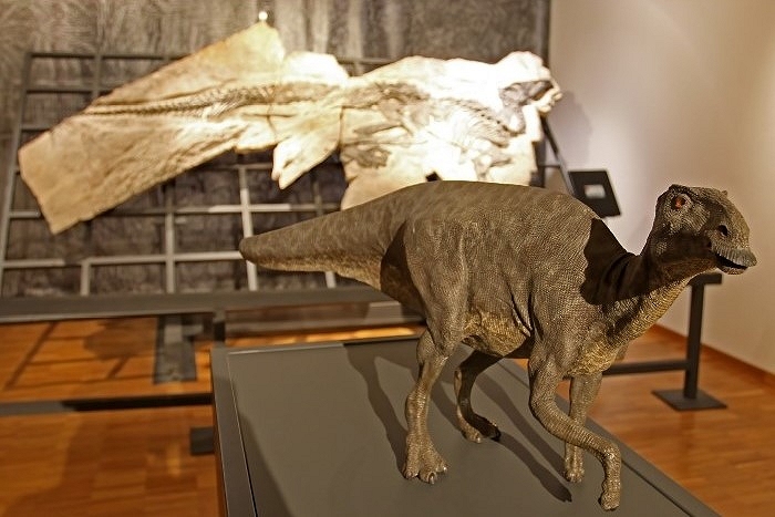 DAL 23 AL 26 LUGLIO ATTIVITÀ IN ITALIANO E INGLESE AL MUSEO CIVICO DI STORIA NATURALE DI TRIESTE “DINOSAURI DEL CARSO”: APPROFONDIMENTI E LABORATORI PER FAMIGLIE