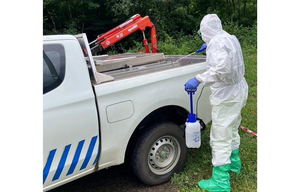 PREVENZIONE DELLA PESTE SUINA AFRICANA: SVOLTA IN FRIULI VENEZIA GIULIA UN’ESERCITAZIONE PER COORDINARE LE PROCEDURE E LE ATTIVITÀ DI TUTTI GLI ENTI COINVOLTI