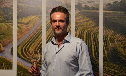 ELETTO IL NUOVO CONSIGLIO DI AMMINISTRAZIONE DEL CONSORZIO FRIULI COLLI ORIENTALI E RAMANDOLO