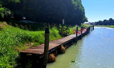 RIVIERA DEL BRENTA, AL VIA I LAVORI PER LA RICOSTRUZIONE DI QUATTRO PONTILI