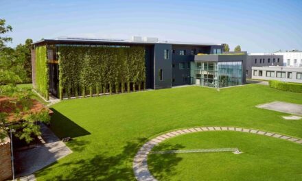 IL GIARDINAGGIO COME TERAPIA GREEN: UN NUOVO ORIZZONTE DEL BENESSERE PERSONALE