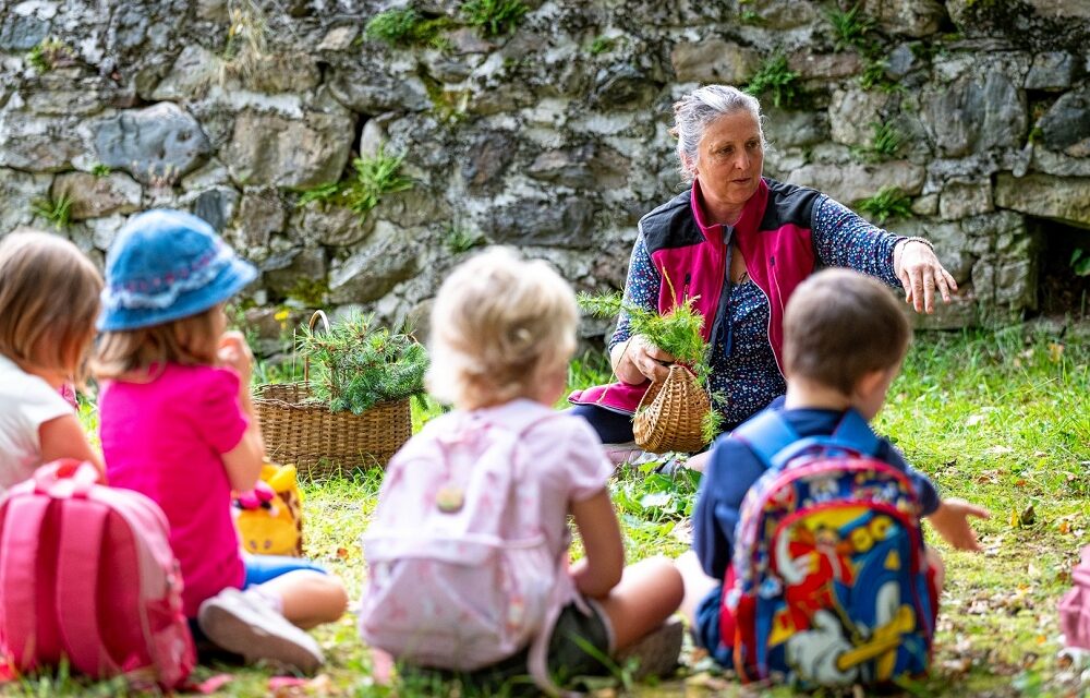 Il valore del bosco e del legno al centro dei Centri estivi gratuiti organizzati dai Comuni di Paluzza e di Sutrio