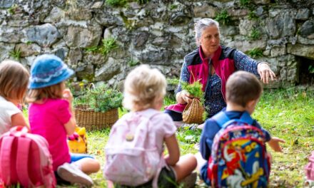 Il valore del bosco e del legno al centro dei Centri estivi gratuiti organizzati dai Comuni di Paluzza e di Sutrio