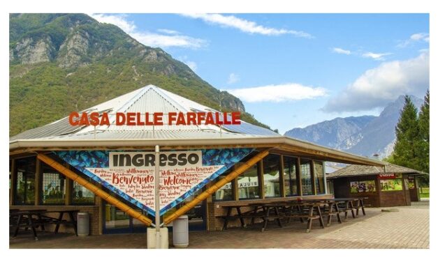 Casa delle farfalle di Bordano, bilancio di 10 anni di attività e prospettive future