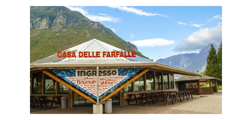 Casa delle farfalle di Bordano, bilancio di 10 anni di attività e prospettive future