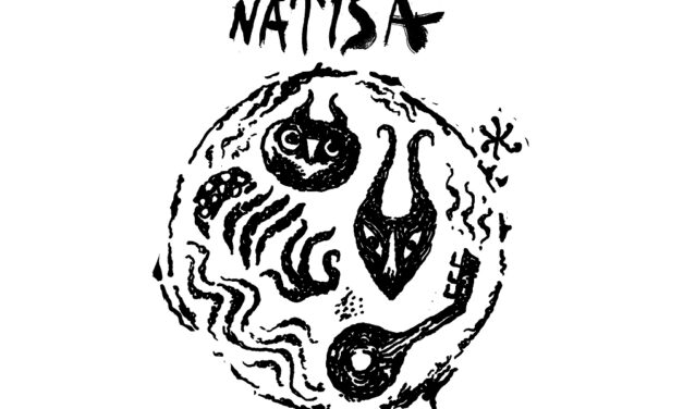 Natisa: un cammino musicale lungo il Natisone tra confini, comunità e improvvisazione