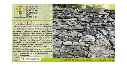 La biodiversità dei muretti a secco al Giardino botanico Carsiana