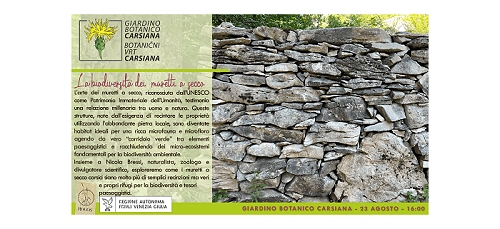La biodiversità dei muretti a secco al Giardino botanico Carsiana
