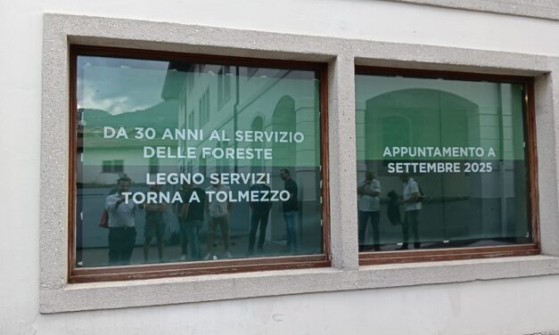 Il Cluster forestale del Fvg torna nel cuore della Carnia: Legno Servizi inaugura la sede a Tolmezzo