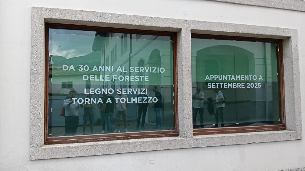 Il Cluster forestale del Fvg torna nel cuore della Carnia: Legno Servizi inaugura la sede a Tolmezzo