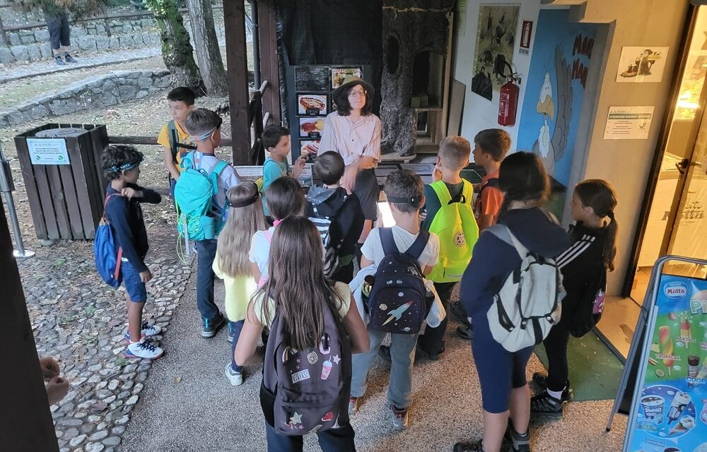 AVVENTURA AL BUIO ALLA RISERVA NATURALE DI CORNINO: SABATO 23 AGOSTO “NOTTE DA GUFI”, ALLA SCOPERTA DEL MONDO DEI RAPACI