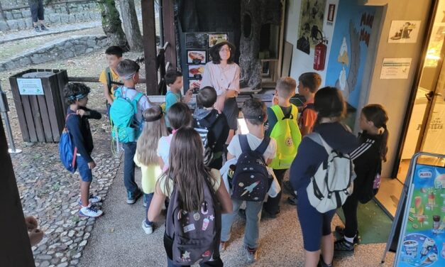 AVVENTURA AL BUIO ALLA RISERVA NATURALE DI CORNINO: SABATO 23 AGOSTO “NOTTE DA GUFI”, ALLA SCOPERTA DEL MONDO DEI RAPACI