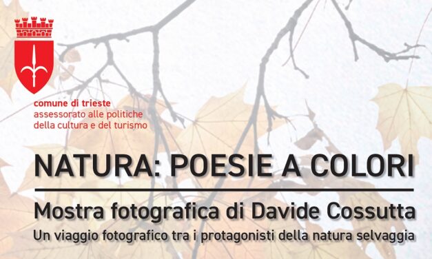 NELLA SALA COMUNALE D’ARTE INAUGURAZIONE DELLA MOSTRA FOTOGRAFICA NATURALISTICA DI DAVIDE COSSUTTA “NATURA: POESIE A COLORI”