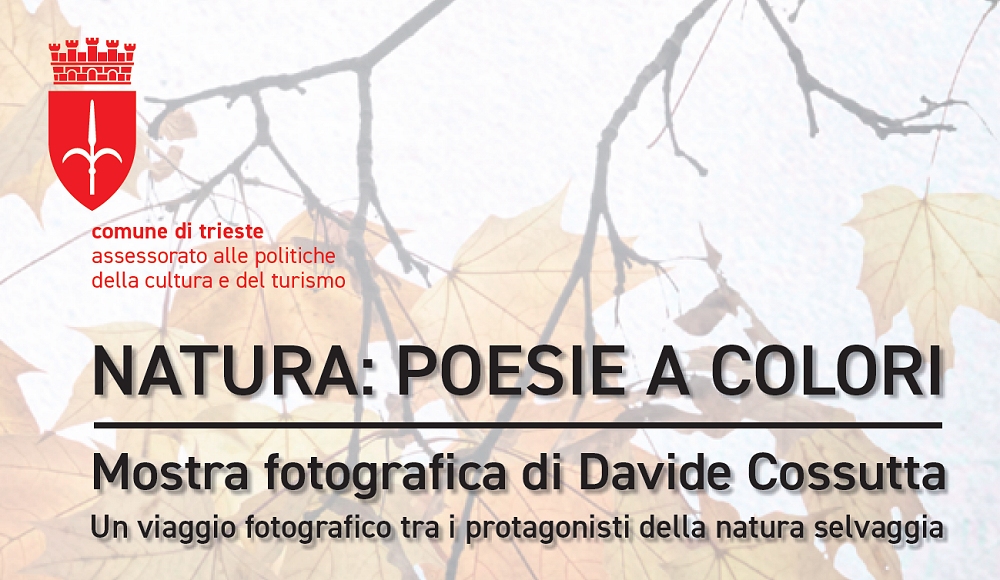 NELLA SALA COMUNALE D’ARTE INAUGURAZIONE DELLA MOSTRA FOTOGRAFICA NATURALISTICA DI DAVIDE COSSUTTA “NATURA: POESIE A COLORI”