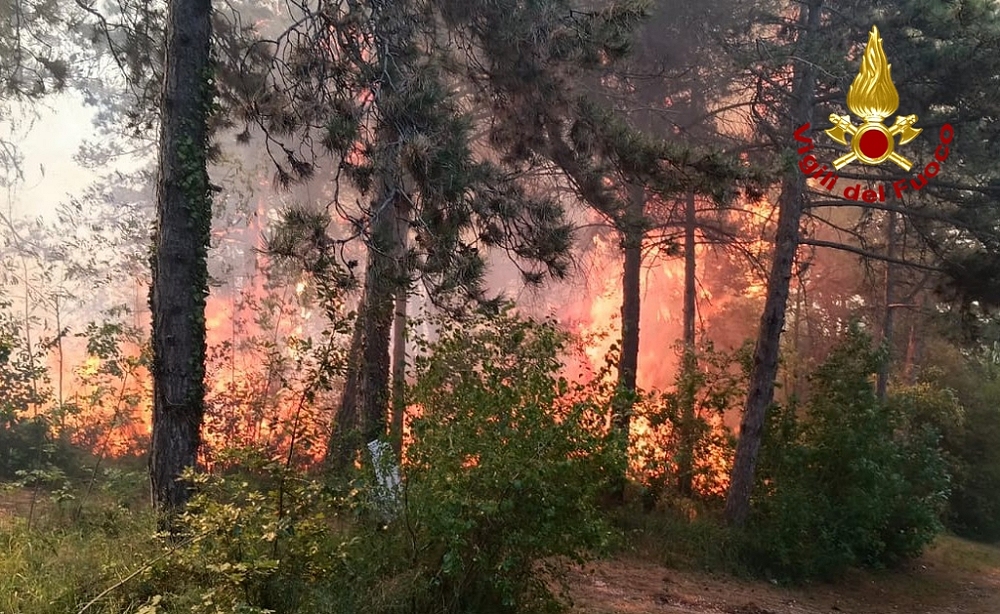 INCENDIO BOSCHIVO IN ZONA MONFALCONE