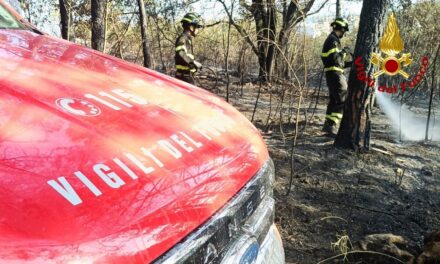 INCENDIO BOSCHIVO IN ZONA MONFALCONE: AGGIORNAMENTO DELLE ORE 18.00
