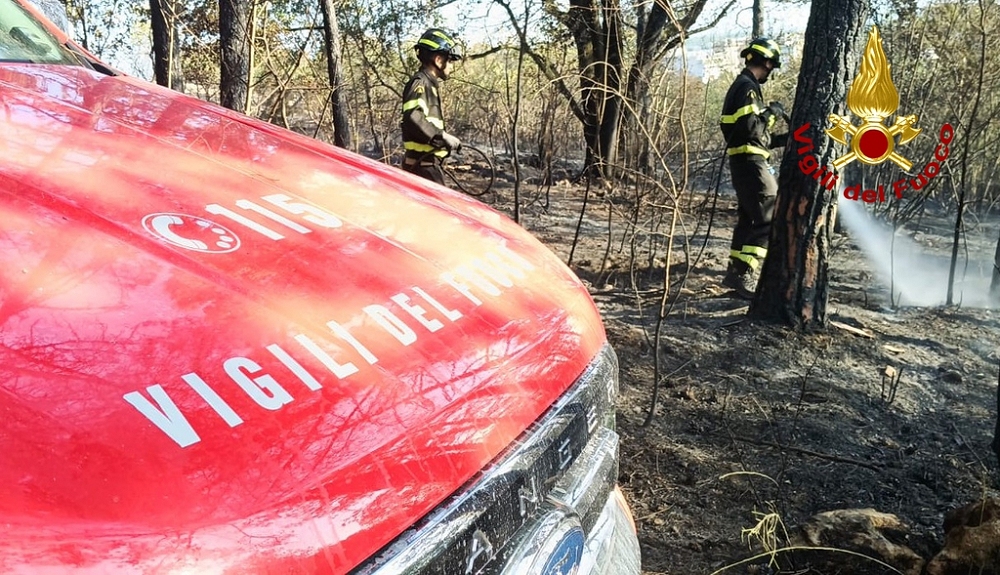 INCENDIO BOSCHIVO IN ZONA MONFALCONE: AGGIORNAMENTO DELLE ORE 18.00