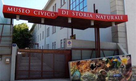 AL MUSEO CIVICO DI STORIA NATURALE MERCOLEDÌ 27, GIOVEDÌ 28, VENERDÌ 29 E SABATO 30 AGOSTO DALLE ORE 10.30 ALLE ORE 12.30 APPROFONDIMENTI SUI DINOSAURI DEL CARSO, ANCHE IN LINGUA INGLESE