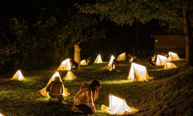 PICCOLIPALCHI Estate in Carnia: spettacoli ad AMARO e PALUZZA