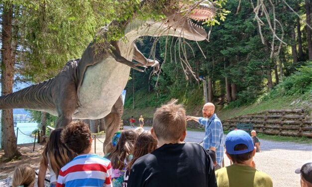 ALL’ALBA DELLE TRE CIME – I DINOSAURI