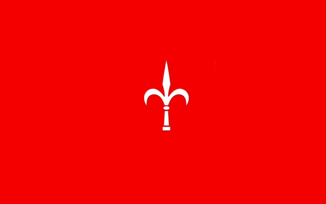 Coppa Italia Serie C Sky Wifi: i convocati per Arzignano Valchiampo – Triestina