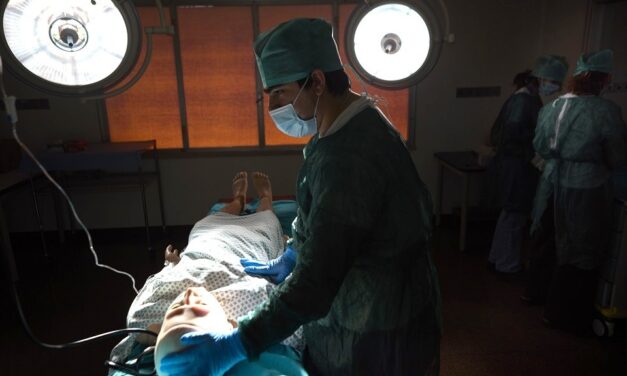 SONO 430 GLI ISCRITTI AL SEMESTRE FILTRO DI MEDICINA E CHIRURGIA DELL’UNIVERSITÀ DI UDINE