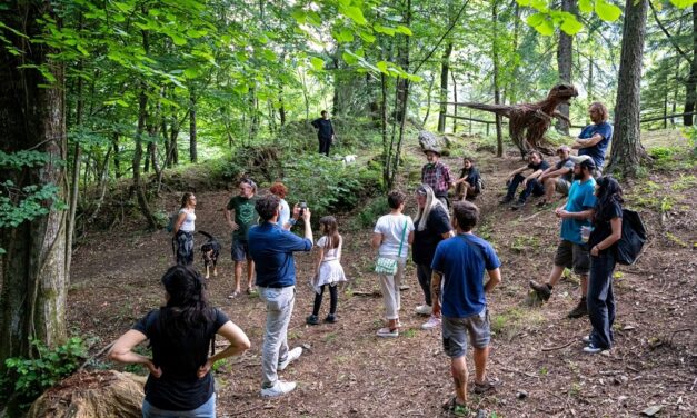 A Paluzza 8 nuove opere di Land Art nell’area di Torre Moscarda