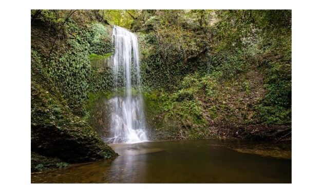 I TROPICI IN FRIULI: DOMENICA 28 SETTEMBRE VIAGGIO ALLA SCOPERTA DEL BIOTOPO DELL’ACQUA CADUTA