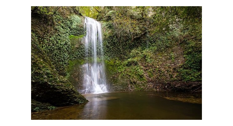 I TROPICI IN FRIULI: DOMENICA 28 SETTEMBRE VIAGGIO ALLA SCOPERTA DEL BIOTOPO DELL’ACQUA CADUTA