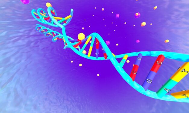 Un viaggio dentro la vita: XMetaReal e Fondazione AIRC portano il pubblico di Trieste Next all’interno di una cellula umana grazie alle tecnologie immersive