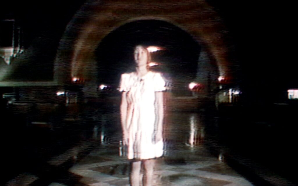 Giornata AMACI: allo Studio Tommaseo un incontro con Valentina Valentini sul lavoro di Bill Viola