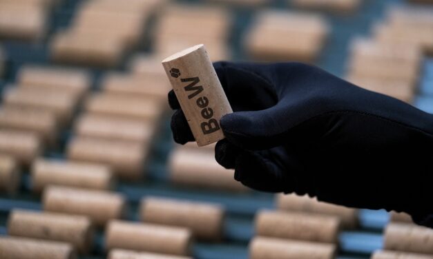 Amorim Cork Italia pioniera dell’enologia di precisione