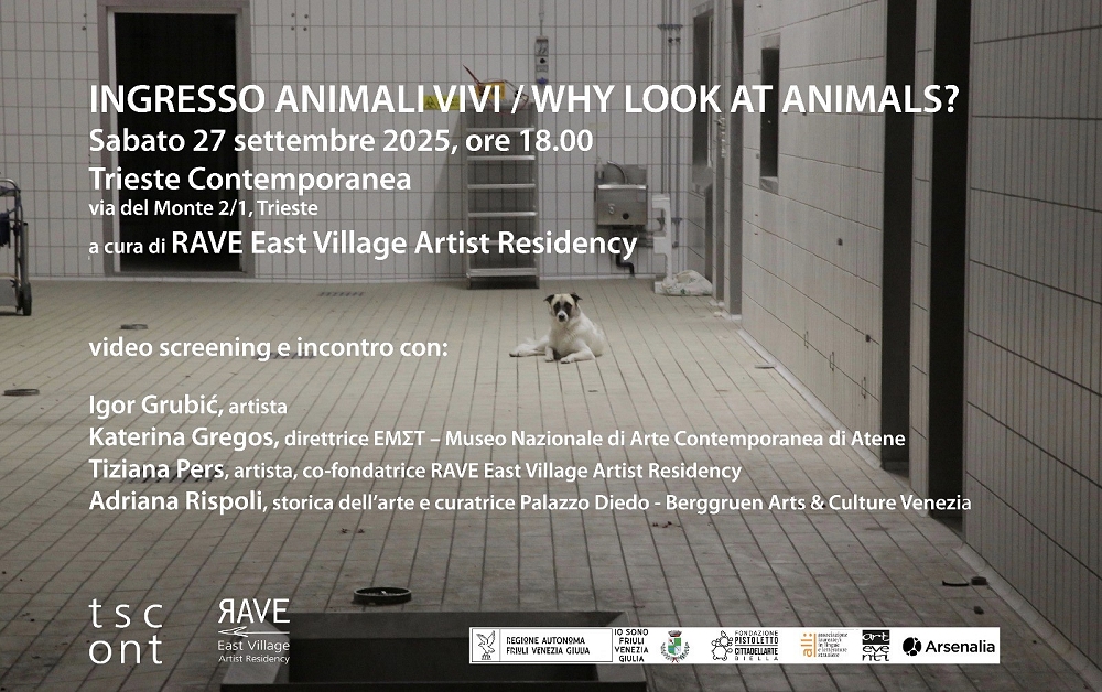 INGRESSO ANIMALI VIVI / WHY LOOK AT ANIMALS? Video screening e incontro da Trieste Contemporanea