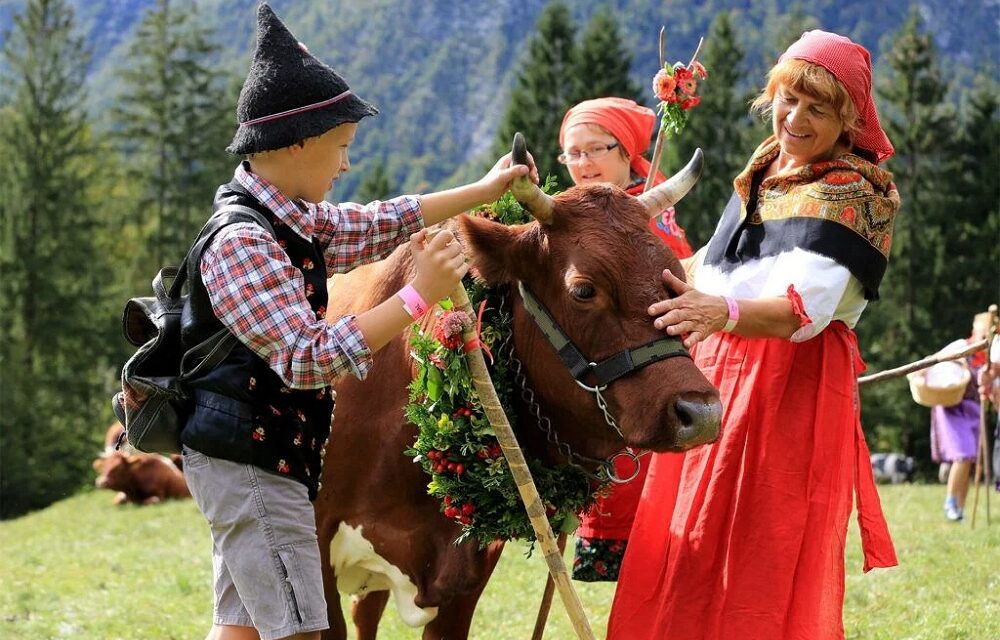 A BOHINJ IL 66° BALLO DELLE MUCCHE