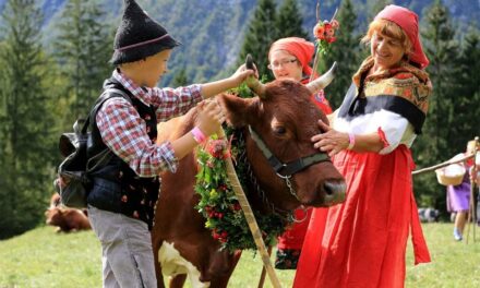A BOHINJ IL 66° BALLO DELLE MUCCHE